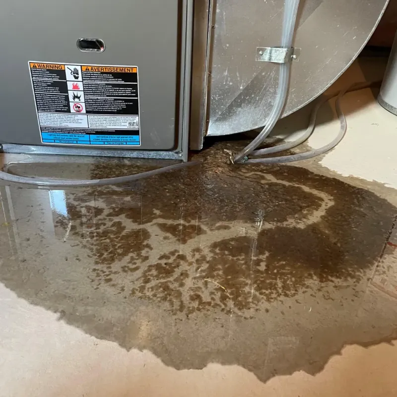 Appliance Leak Cleanup in White Bear Lake, MN